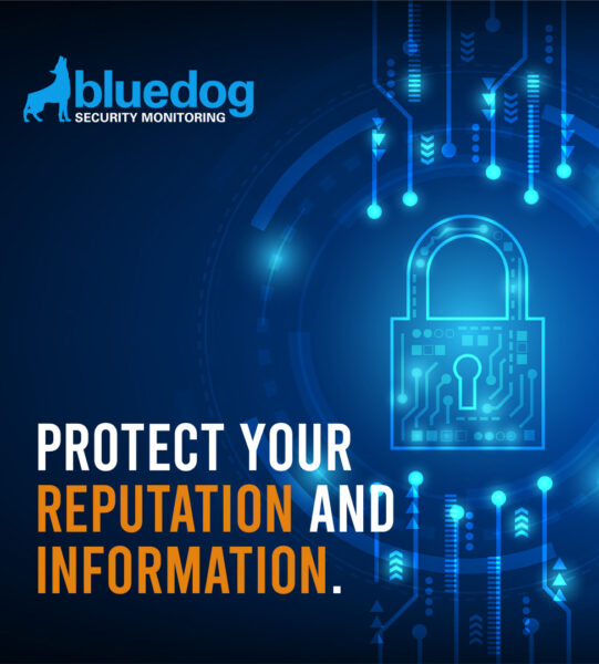 Bluedog_Featured_Image